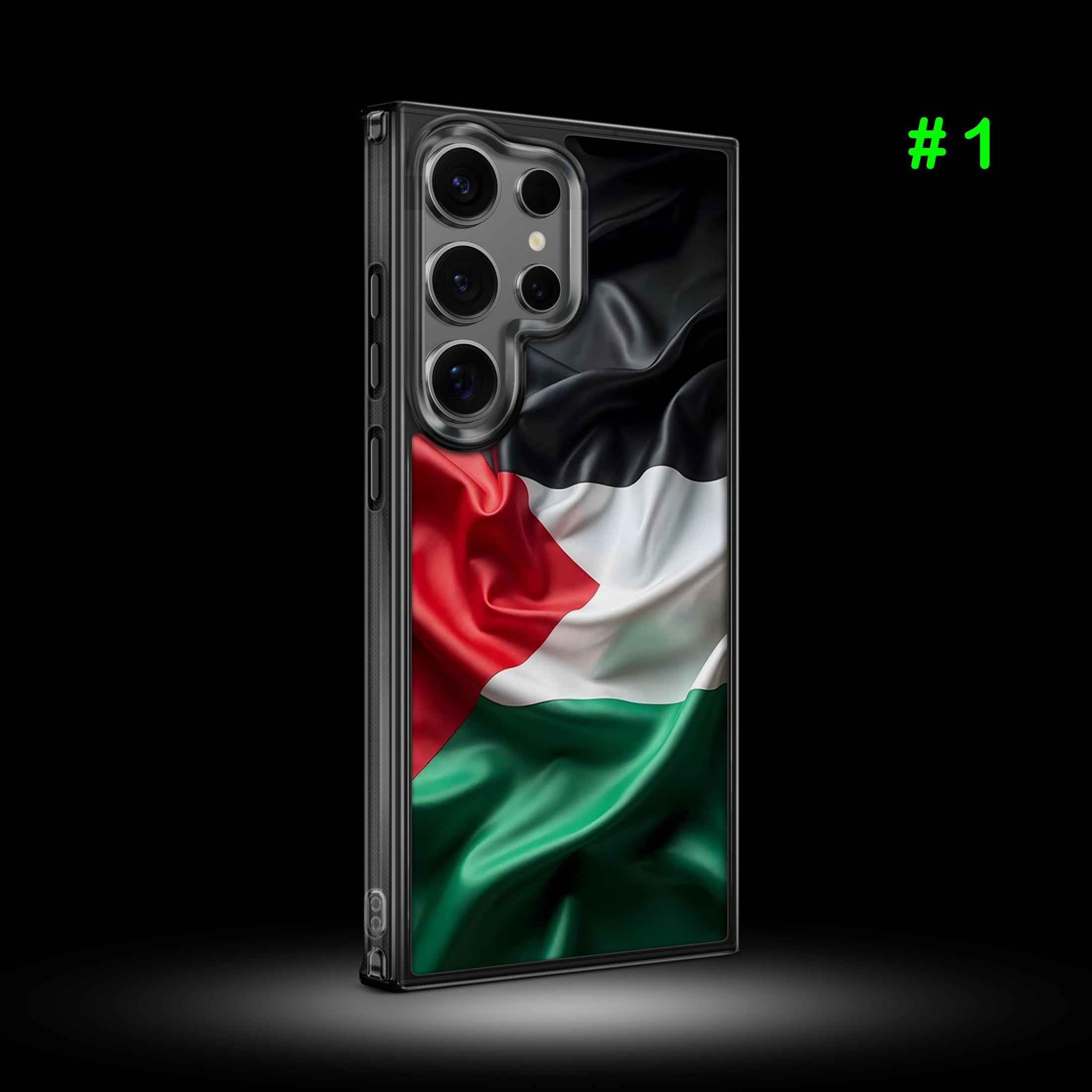 Samsung Case (Palestine)