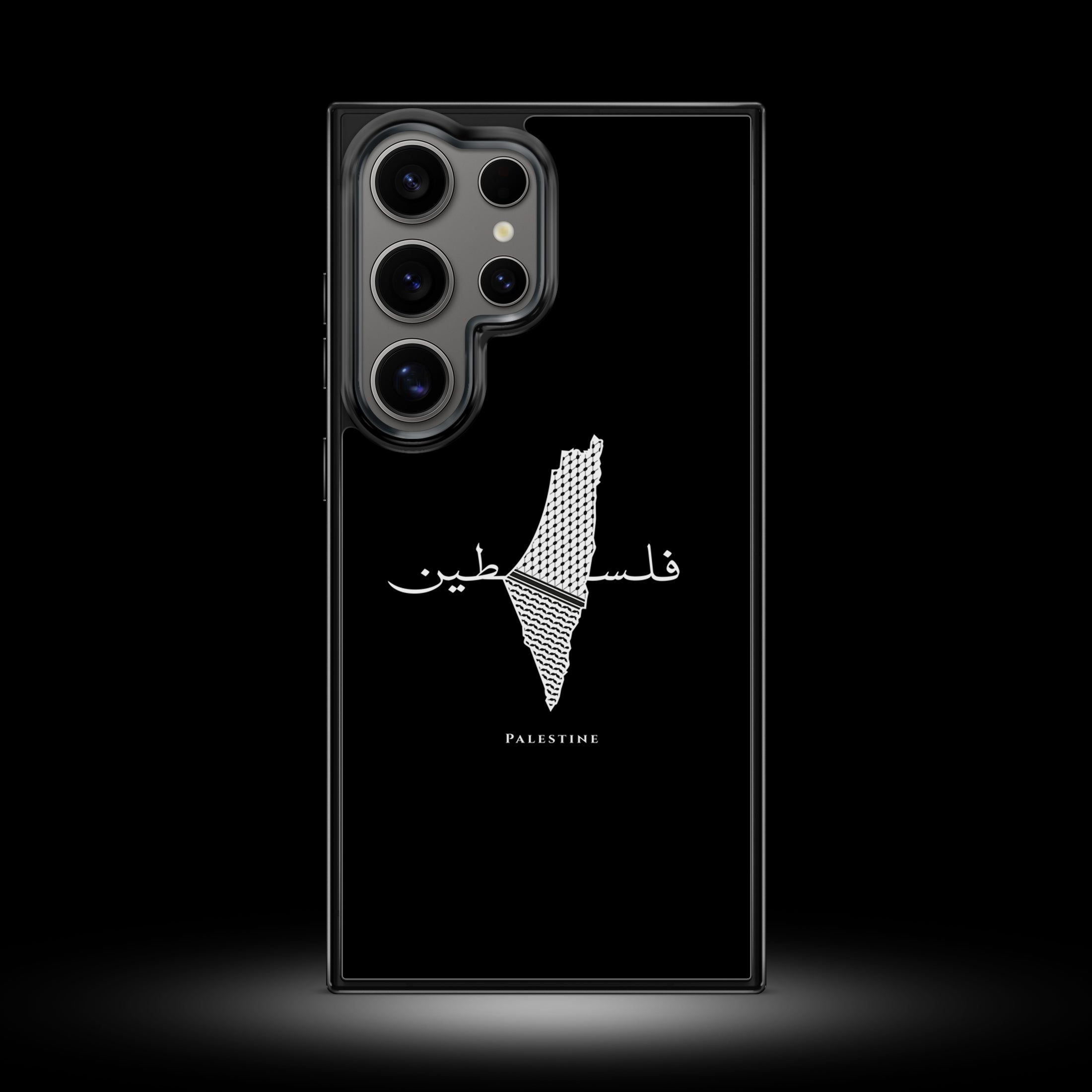 Samsung Case (Palestine)