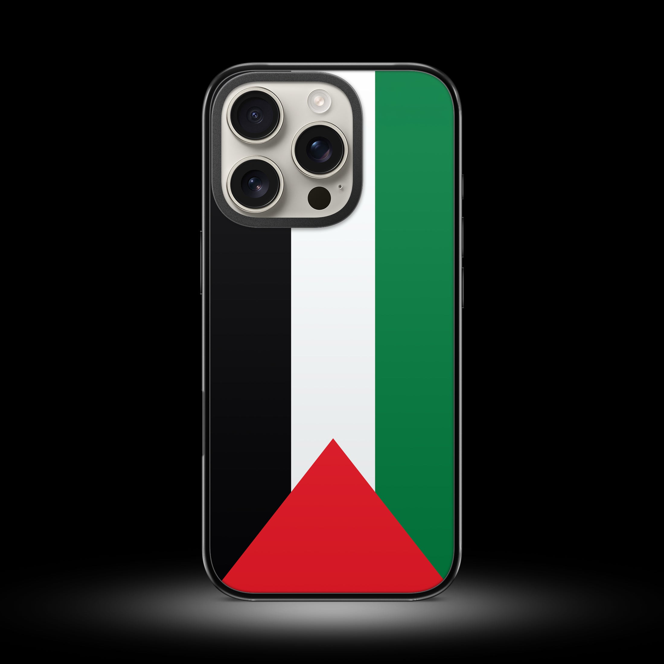 iPhone Case (Palestine)