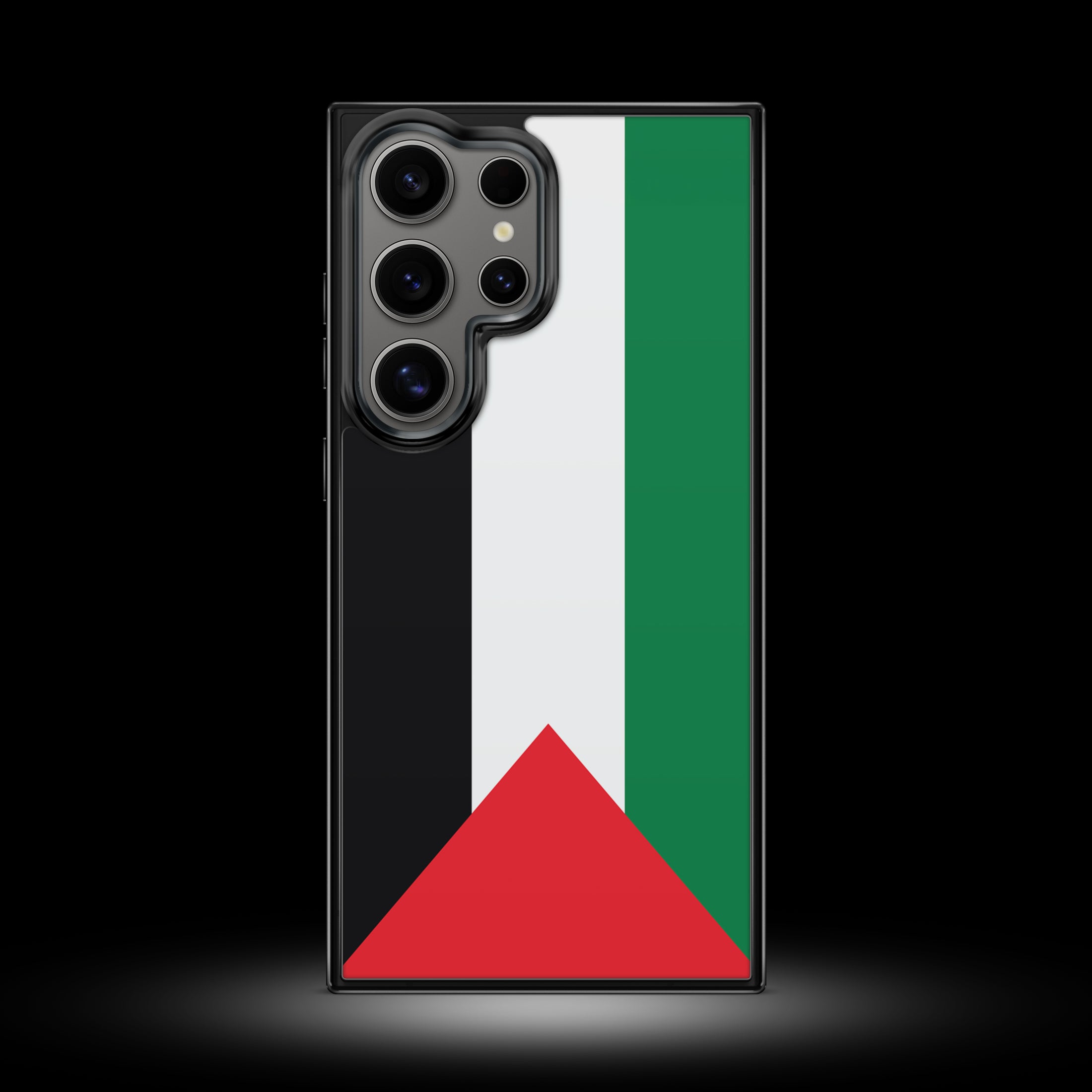 Samsung Case (Palestine)