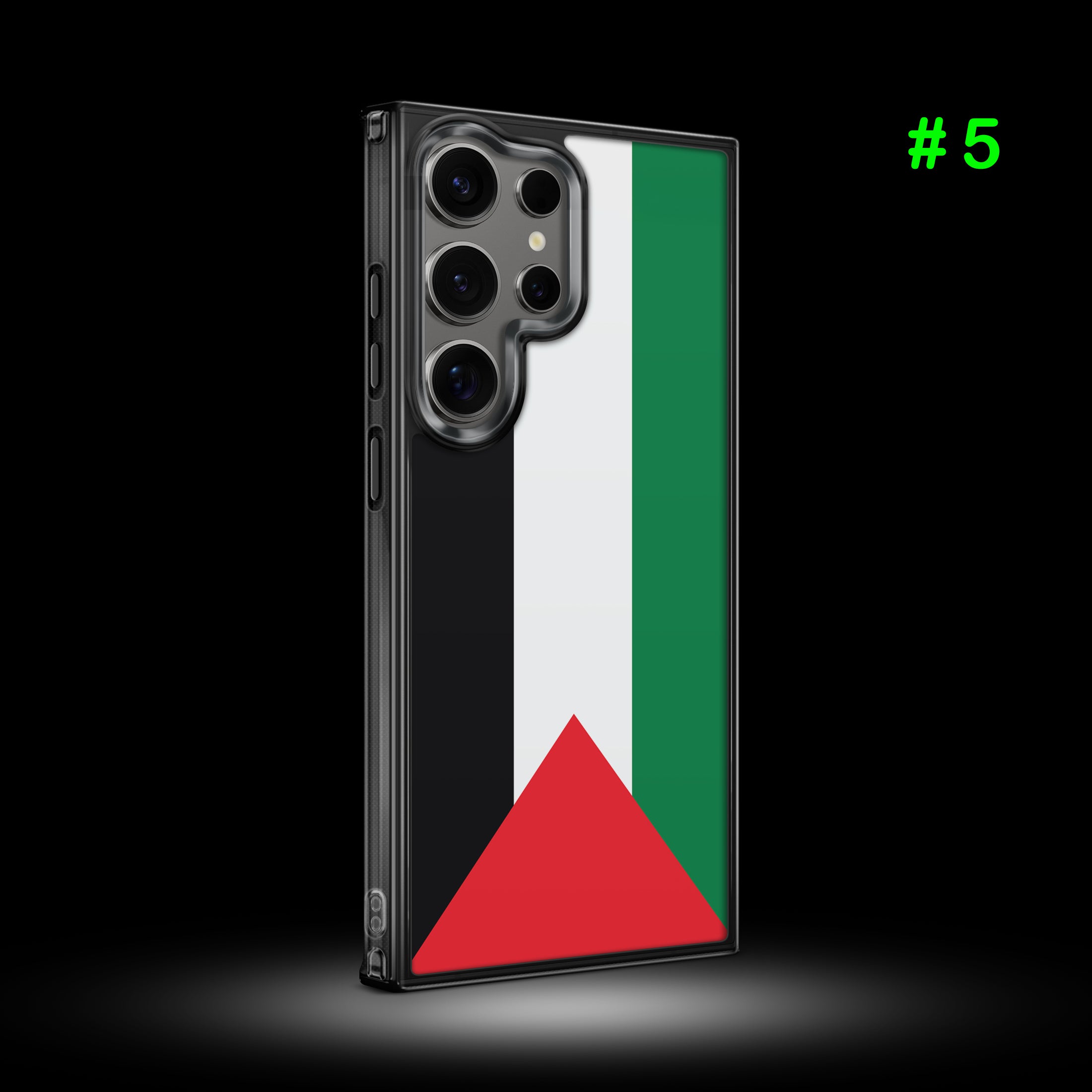 Samsung Case (Palestine)