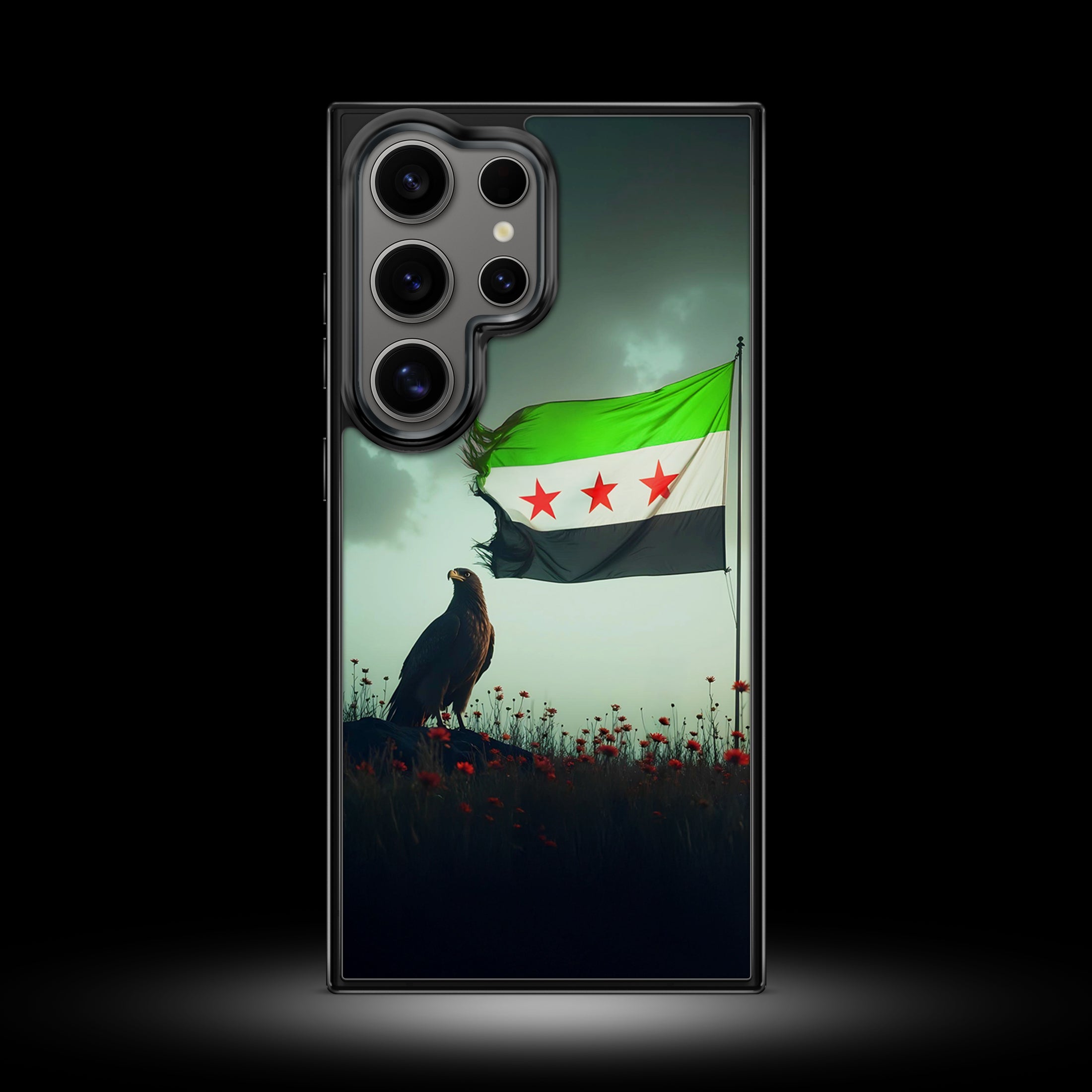 Samsung Case (Syria)